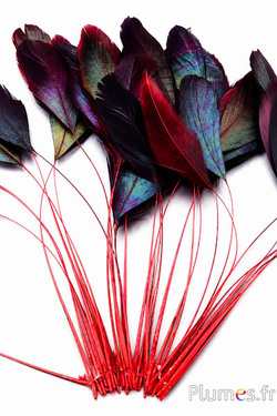 Coquetips - 12-17 cm - rood-zwart